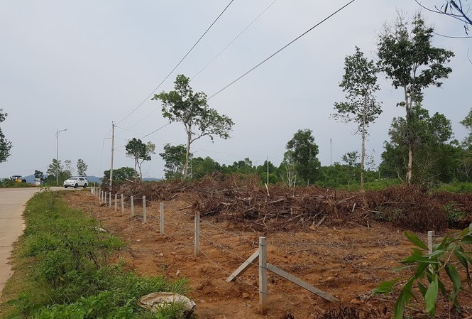 Loạn chuyển nhượng đất ở Phú Quốc: Có trách nhiệm của chủ tịch tỉnh thời kỳ 2011-2017 Nhiều diện tích đất nông nghiệp trên đảo Phú Quốc được chia nhỏ để phân lô chuyển nhượngẢnh: Nhật Huy