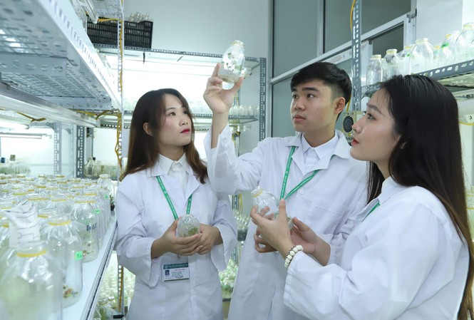 Xây dựng xã hội học tập, thu hút nhân tài Sinh viên trường ĐH Nông nghiệp nghiên cứu gen giống cây trồng tại phòng thí nghiệm