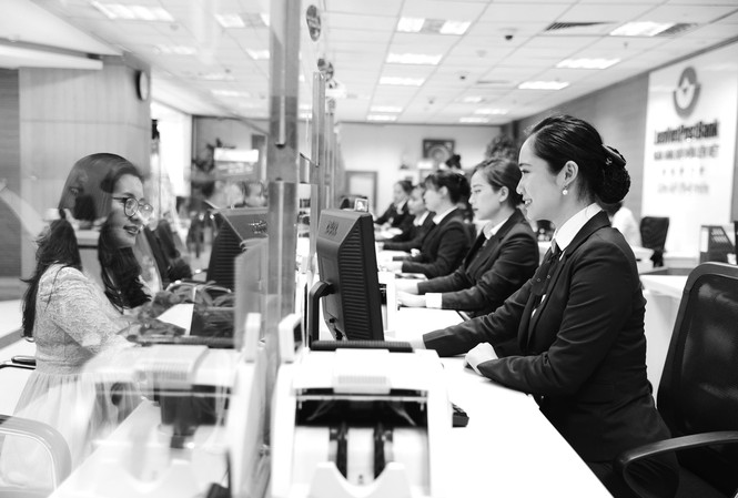Câu chuyện về người nông dân làm giàu từ loại 'rau hoàng đế' Câu chuyện về người nông dân làm giàu từ loại 'rau hoàng đế'