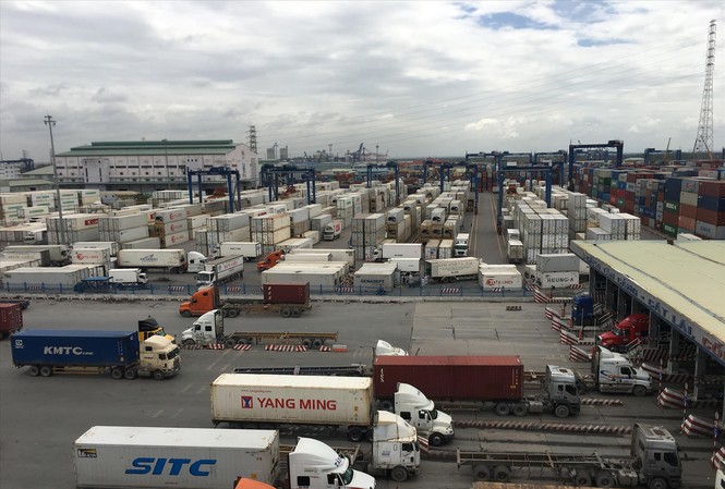 Cả nghìn container rác ngoại vô chủ: Cảng biển còng lưng gánh phí Cảng Cát Lái ùn ứ nghiêm trọng vì hàng loạt container phế liệu phải tái xuất nhưng chưa được xử lý dứt điểm. Ảnh: Tuấn Nguyễn