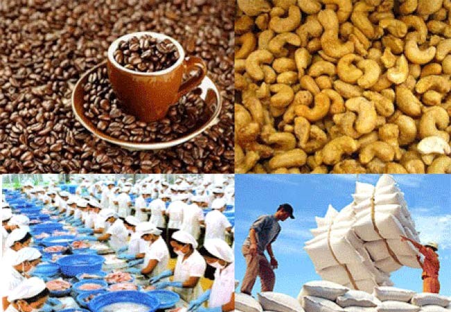 Xuất khẩu nông sản sang EU: Doanh nghiệp Việt phải nâng cao giá trị Xuất khẩu nông sản sang EU: Doanh nghiệp Việt phải nâng cao giá trị