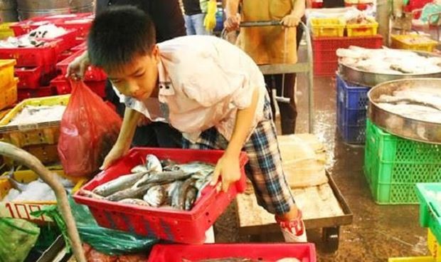 Công việc nào được sử dụng lao động dưới 15 tuổi Ảnh: Internet