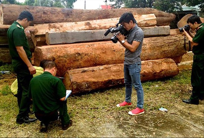 Ai tiếp tay cho trùm sòng bạc 'khủng' ở Gia Lai tổ chức cướp gỗ? Lực lượng chức năng đo đếm khối lượng gỗ bị cướp năm 2016
