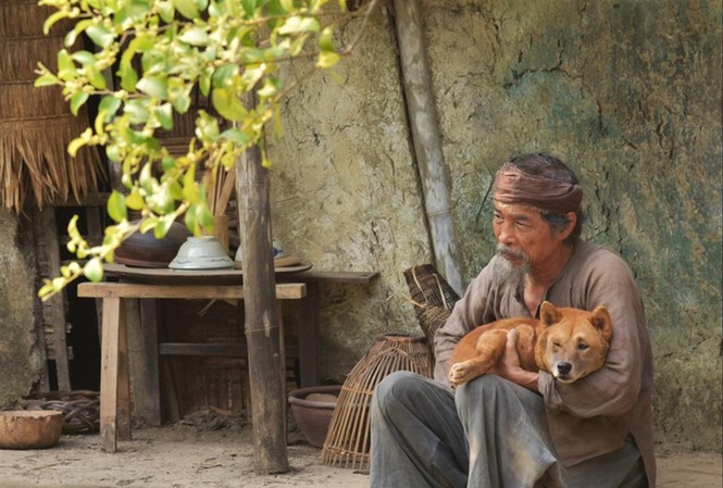 Thất vọng Cậu Vàng Nhân vật lão Hạc trong Cậu Vàng bị cho là đẫy đà một cách vô lý so với hoàn cảnh