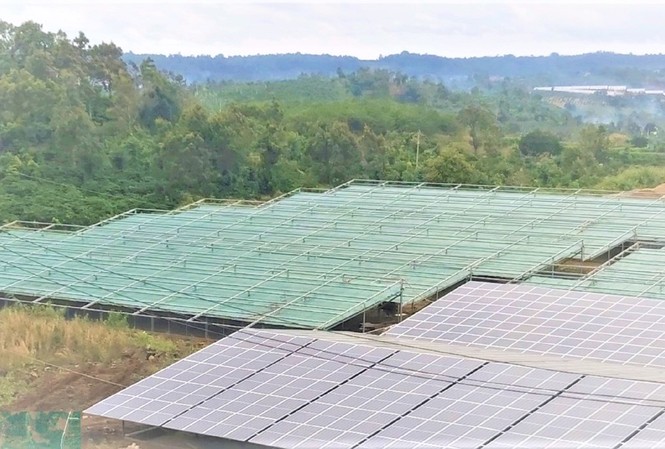 Đắk Nông: Bất ngờ tháo hơn 2.200 tấm quang điện sau gần 2 tháng nghiệm thu Tấm quang năng, bị tháo gỡ sau khi lắp đặt chưa đầy 2 tháng