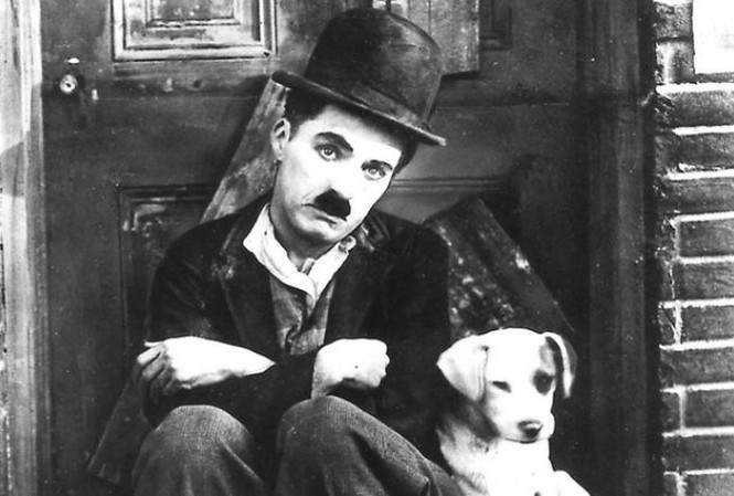 Vụ bắt cóc kỳ lạ… quan tài của hề Sác-lô Charlie Chapline trong phim "A dog's life". Ảnh: Movies