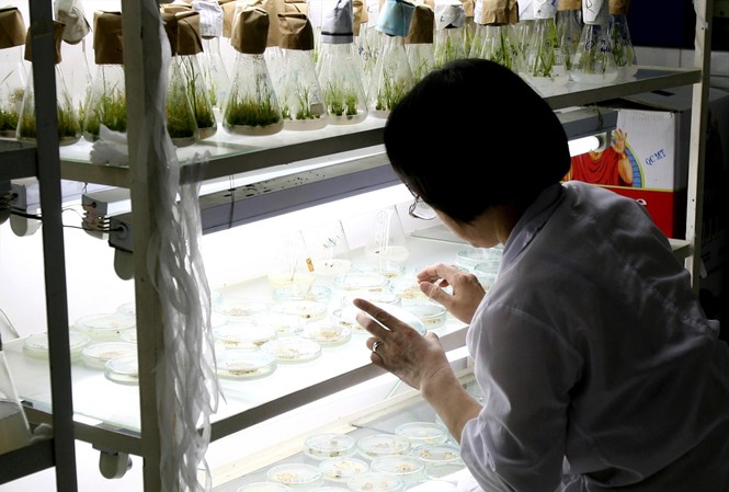 Đặc cách cho nhà khoa học xuất sắc Chế độ đãi ngộ nhà khoa học tại cơ sở nghiên cứu công lập còn bất cập