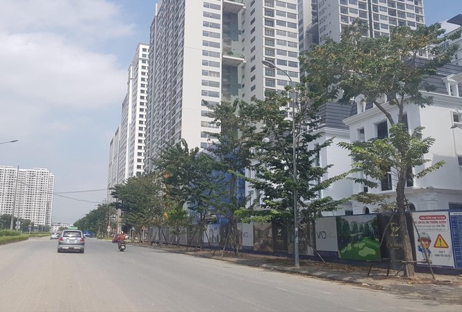 Từ vụ thu hồi sổ đỏ chung cư sai phạm: Dân gánh chịu hậu quả? Cư dân nhiều tòa chung cư ở Hà Nội bị đem con bỏ chợ trong việc làm sổ đỏ (Khu đô thị Ngoại giao đoàn Hà Nội)