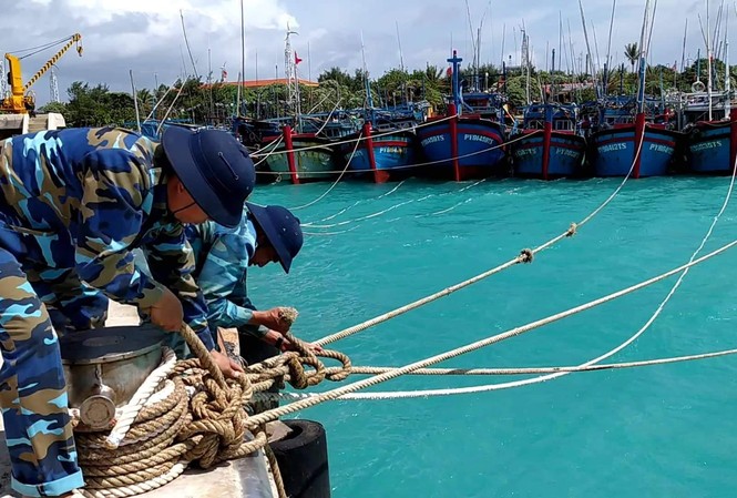 Hơn 1.400 ngư dân vào tránh bão ở Trường Sa Tàu cá vào neo đậu an toàn tại âu tàu Sinh Tồn
