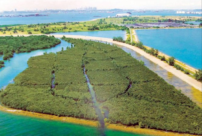 Đau đầu vì rác Đảo rác nổi Semakau trở thành khu bảo tồn thiên nhiên và du lịch