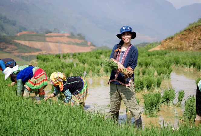 Đánh thức những giấc mơ điền viên Tâm An tham gia cấy lúa cùng người bản địa