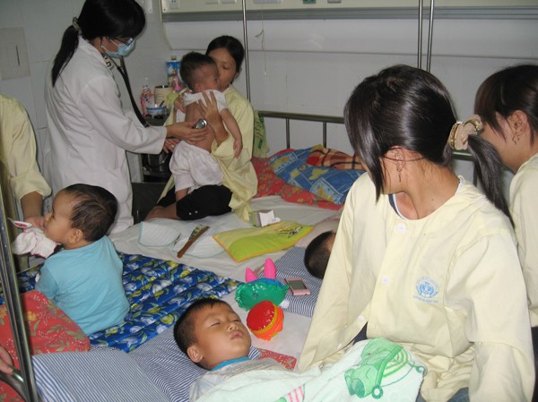 Mùa hè, cảnh giác với bệnh viêm não Nhật Bản Mùa hè, cảnh giác với bệnh viêm não Nhật Bản
