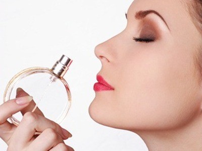 Chiếc mũi quyết định sự sống Chiếc mũi quyết định sự sống