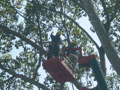 Còn lương 'khủng' sẽ kỷ luật Giám đốc Sở Tài chính Còn lương 'khủng' sẽ kỷ luật Giám đốc Sở Tài chính