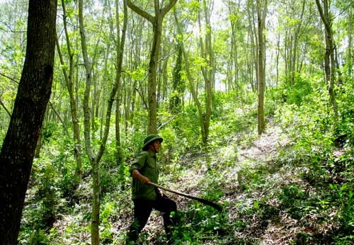 Khánh Hòa: Bảo vệ rừng bắn người Khánh Hòa: Bảo vệ rừng bắn người