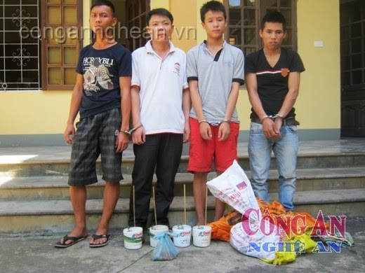 Bắt nhóm 'miêu tặc' thành Vinh Bắt nhóm 'miêu tặc' thành Vinh