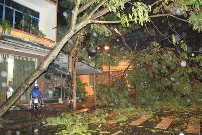 Bão Nari tấn công Đà Nẵng, sóng vò gió giật liên tục Bão Nari tấn công Đà Nẵng, sóng vò gió giật liên tục