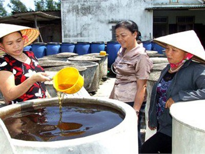 Bỏ học tiến sĩ về làm nước mắm Bỏ học tiến sĩ về làm nước mắm