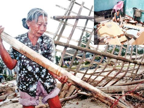 Không có hoa cho vùng bão lũ Không có hoa cho vùng bão lũ