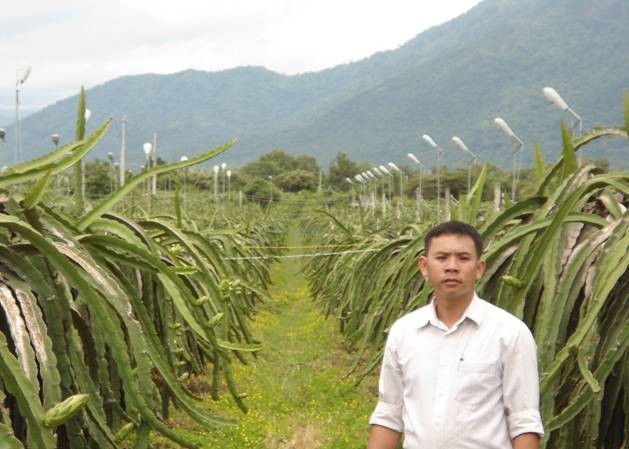 Thông 'liều' và cú đột phá với đèn cao áp tiết kiệm điện Thông 'liều' và cú đột phá với đèn cao áp tiết kiệm điện