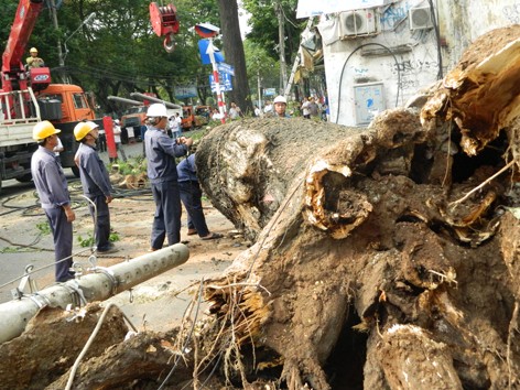 Kỷ luật các 'sếp lương khủng': đúng và kịp thời Kỷ luật các 'sếp lương khủng': đúng và kịp thời