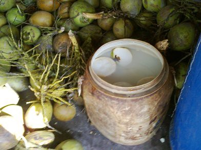Tẩy trắng dừa nước bằng hóa chất công nghiệp Tẩy trắng dừa nước bằng hóa chất công nghiệp