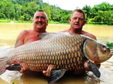 Câu được cá chép nặng 60 kg Câu được cá chép nặng 60 kg