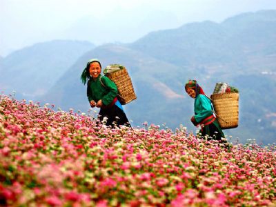 Hà Giang – địa chỉ của du lịch trải nghiệm Hà Giang – địa chỉ của du lịch trải nghiệm