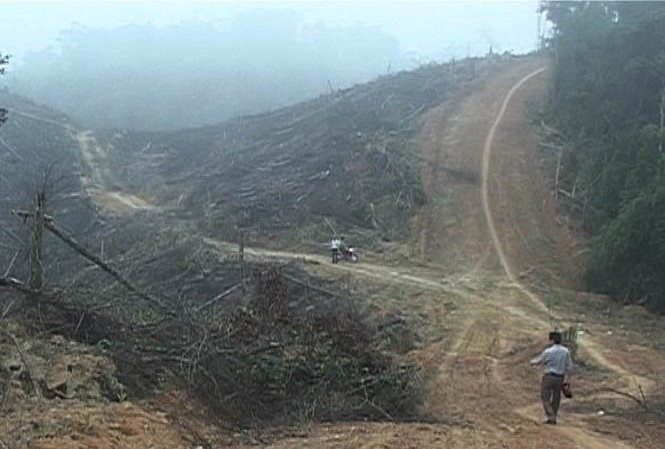 Trưởng phòng quản lý bảo vệ rừng bị hành hung tại nơi làm việc Trưởng phòng quản lý bảo vệ rừng bị hành hung tại nơi làm việc