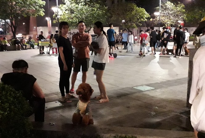 Phố đi bộ Nguyễn Huệ thành 'phố hàng rong', nơi cún cưng...phóng uế Phố đi bộ Nguyễn Huệ thành 'phố hàng rong', nơi cún cưng...phóng uế