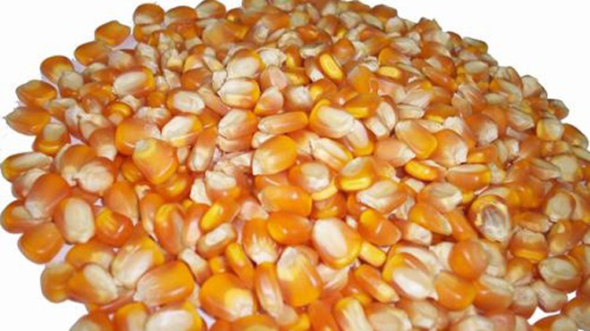 Các loại hạt giúp tăng bản lĩnh đàn ông Các loại hạt giúp tăng bản lĩnh đàn ông