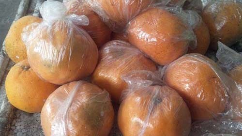 Cam để hai tháng vẫn tươi nguyên Tất cả số cam đều còn tươi nguyên, người dân nghi ngờ số hàng này bị tẩm hóa chất bảo quản nên mới không bị thối rữa. Ảnh: Hoàng Lê.