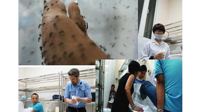 Tuyệt chiêu “Tiêm vắc-xin cho muỗi” để phòng sốt xuất huyết Các chuyên gia y tế thử nghiệm cho muỗi ăn máu người để nghiên cứu dự án "tiêm vắc-xin cho muỗi".
