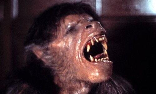 Nghi vấn 'người sói' cao hai mét xuất hiện ở Anh Tạo hình nhân vật người sói trong phim American Werewolf. Ảnh: Mirror