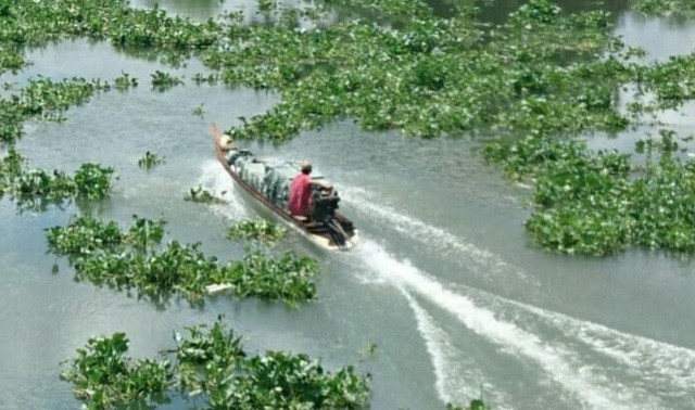 Cán bộ quản lý thị trường bị nhóm buôn lậu đánh tử vong Một vỏ lãi chở thuốc lá lậu ở địa bàn Đức Hòa, Long An (ảnh minh họa).