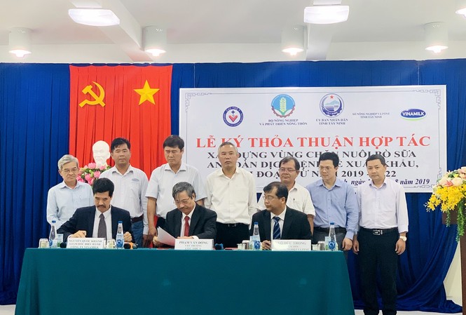 Xây dựng vùng chăn nuôi bò sữa an toàn dịch bệnh để xuất khẩu Lãnh đạo Cục Thú y, Sở NN&PTNT tỉnh Tây Ninh và Công ty Vinamilk ký kết thỏa thuận hợp tác xây dựng vùng chăn nuôi bò sữa an toàn dịch bệnh (giai đoạn 2019 – 2022)