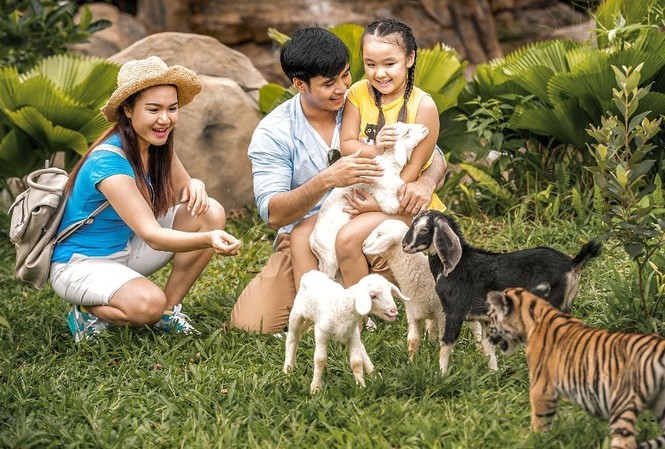Vinpearl Safari đăng cai tổ chức hội nghị bảo tồn và phúc trạng động vật lớn nhất Đông Nam Á Các công tác giáo dục công chúng về tầm quan trọng của chăm sóc và bảo tồn động vật hoang dã luôn được chú trọng tại Vinpearl Safari