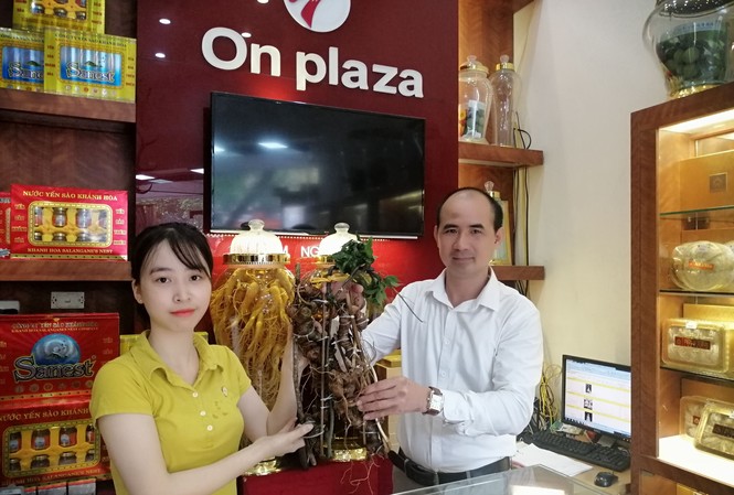 Doanh nhân dinh dưỡng chọn sâm Ngọc Linh làm quà đặc biệt tặng đối tác Doanh nhân dinh dưỡng chọn sâm Ngọc Linh làm quà đặc biệt tặng đối tác