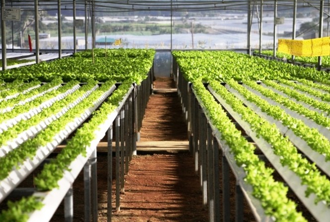 Agribank nỗ lực hành động vì chất lượng cuộc sống cộng đồng Agribank triển khai chương trình tín dụng ưu đãi phục vụ “Nông nghiệp sạch” với mong muốn xây dựng nền nông nghiệp an toàn, phát triển bền vững