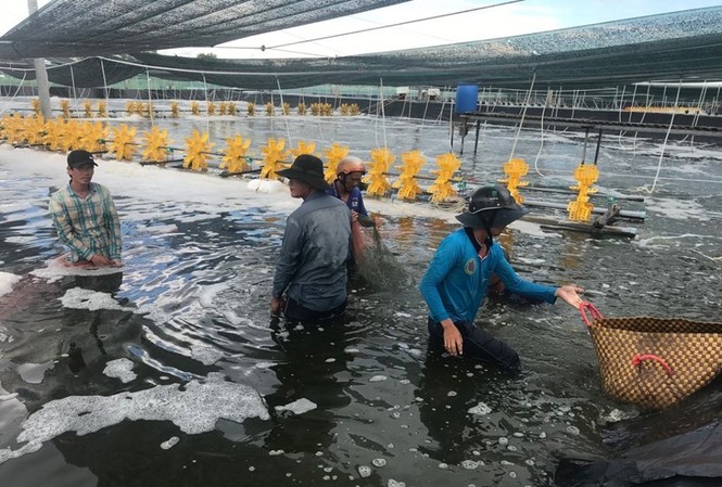 Bà Phạm Thị Ngọc Quỳnh, người đưa MC Fish Việt Nam vượt biển Bà Phạm Thị Ngọc Quỳnh, người đưa MC Fish Việt Nam vượt biển