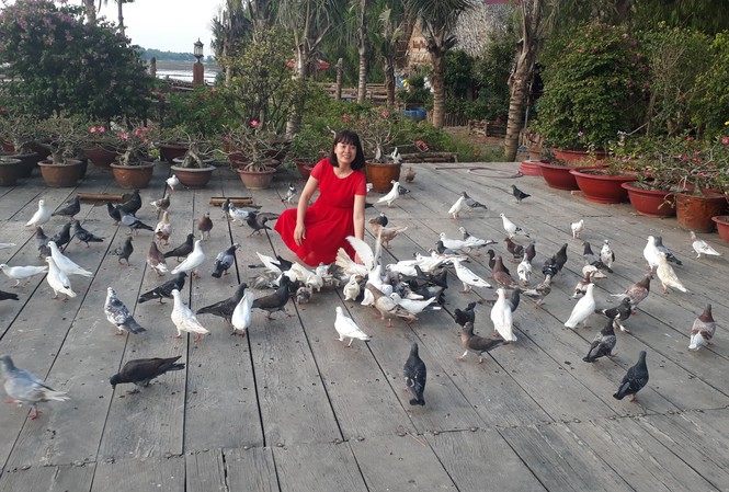 Bức họa Trà Sư Những chú chim bồ câu lễ tân hiếu khách
