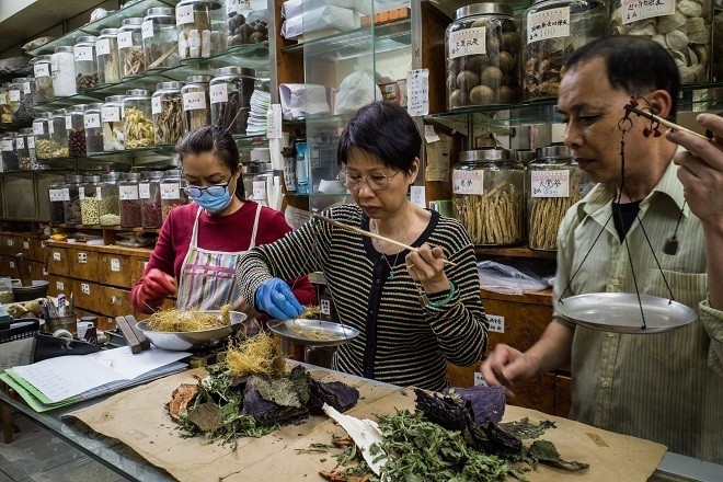 Kết hợp kim ngân hoa, cam thảo trong các bài thuốc nâng cao đề kháng Kết hợp kim ngân hoa, cam thảo trong các bài thuốc nâng cao đề kháng