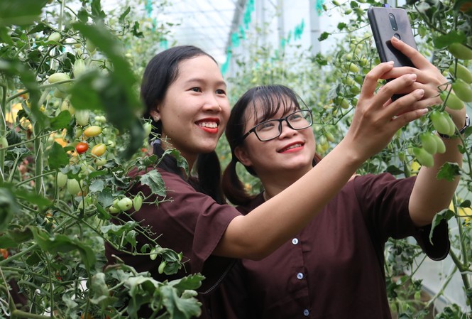 Khởi nghiệp trở thành khát vọng làm giàu trên quê hương Đồng Khởi Khởi nghiệp trở thành khát vọng làm giàu trên quê hương Đồng Khởi