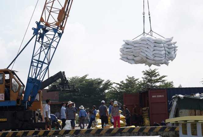 Mới mua được 7.700 tấn gạo dự trữ quốc gia Theo thống kê mới nhất của Tổng cục Hải quan, từ đầu năm đến 15/3, cả nước xuất khẩu xấp xỉ 1,3 triệu tấn gạo, tổng trị giá khoảng 601 triệu USD
Ảnh: Cảnh Kỳ