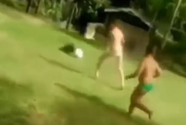 Clip: Cún cưng xử lý bóng chẳng kém Messi Clip: Cún cưng xử lý bóng chẳng kém Messi