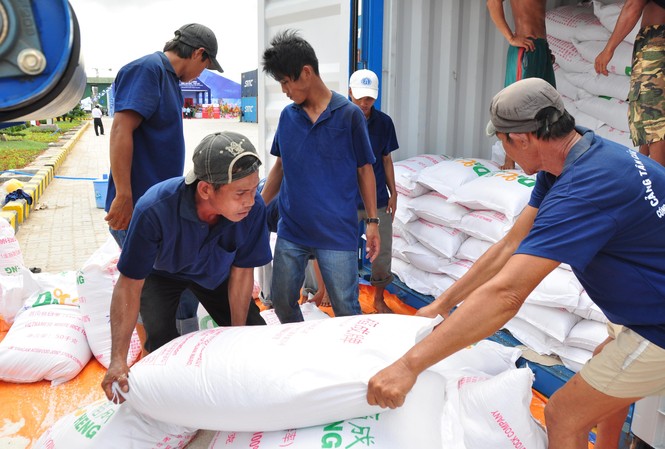 Kho dự trữ quốc gia cho thuê vô tội vạ: Có còn là bí mật quốc gia? Sau lùm xùm xuất khẩu gạo, lại lộ ra hàng loạt bất cập trong quản lý, đấu thầu gạo dự trữ Ảnh minh họa của Hòa Hội