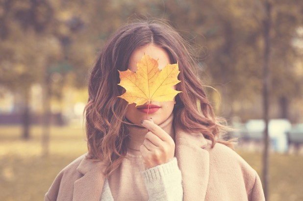 Vì sao não hoạt động tốt nhất vào mùa thu? Bộ não của chúng ta làm việc tốt nhất vào mùa thu.