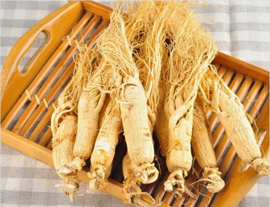Không muốn nhân sâm thành 'thuốc độc', thì đừng ăn theo cách này Ảnh minh họa: Internet