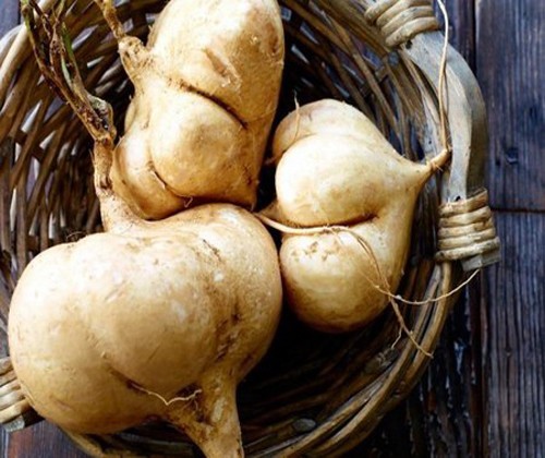 Củ đậu: Cực tốt và cực độc, biết mà tránh khi ăn kẻo rước họa vào thân Ảnh minh họa: Internet
