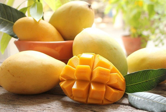 Quả xoài: Tốt vô cùng nhưng có thể thành 'độc dược' nếu ăn không đúng cách Ảnh minh họa: Internet